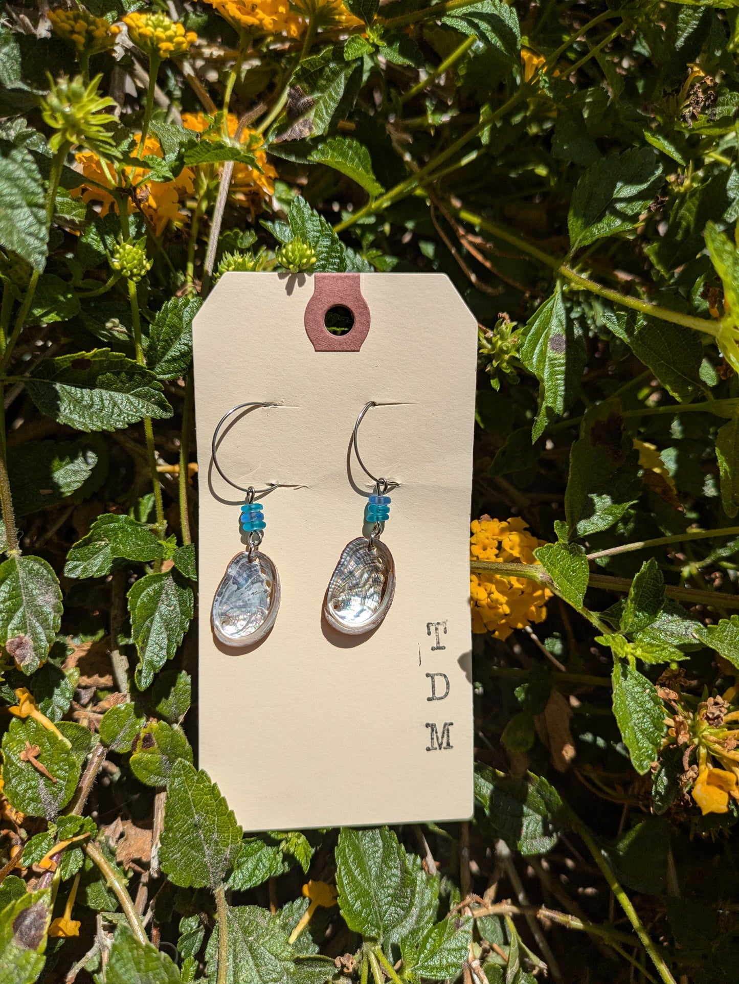 Custom Abalone Earrings