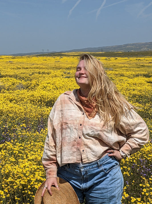 Origin of The Desert Marigold